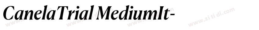CanelaTrial MediumIt字体转换 CanelaTrial MediumIt字体转换